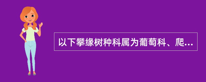 以下攀缘树种科属为葡萄科、爬山虎属的是（）