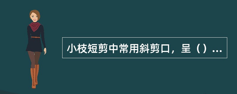 小枝短剪中常用斜剪口，呈（）度斜面。