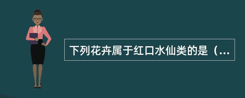 下列花卉属于红口水仙类的是（）。