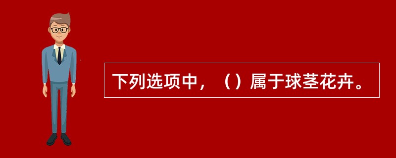 下列选项中，（）属于球茎花卉。