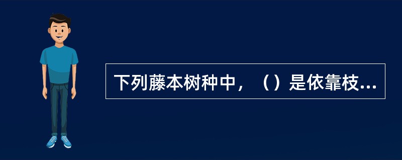 下列藤本树种中，（）是依靠枝条本身缠绕攀援的。