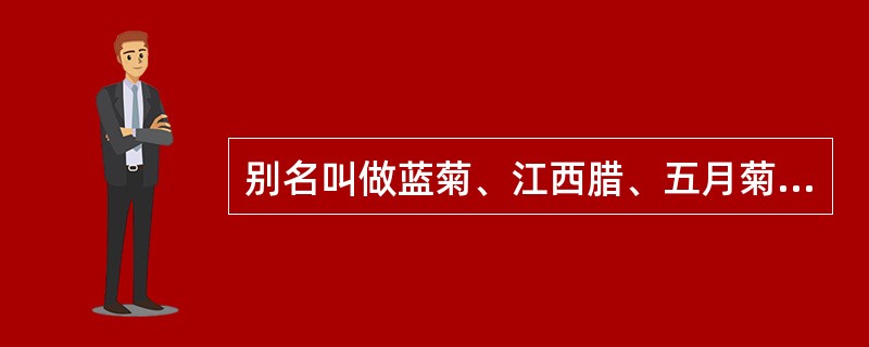 别名叫做蓝菊、江西腊、五月菊、七月菊的是（）