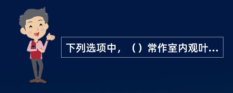 下列选项中，（）常作室内观叶植物栽培。