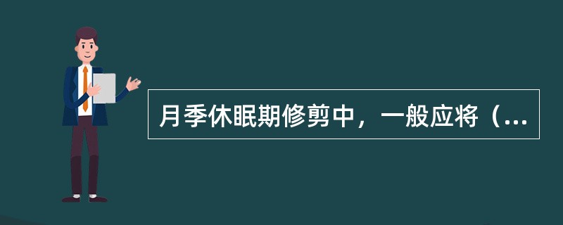 月季休眠期修剪中，一般应将（）疏剪掉。