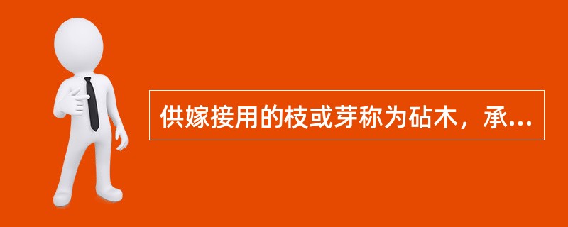 供嫁接用的枝或芽称为砧木，承受砧木部分称为接穗。