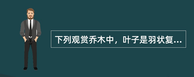 下列观赏乔木中，叶子是羽状复叶的是（）。