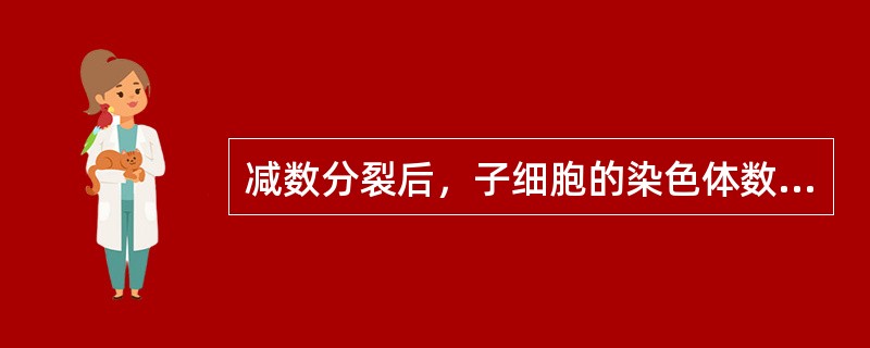 减数分裂后，子细胞的染色体数是2n。