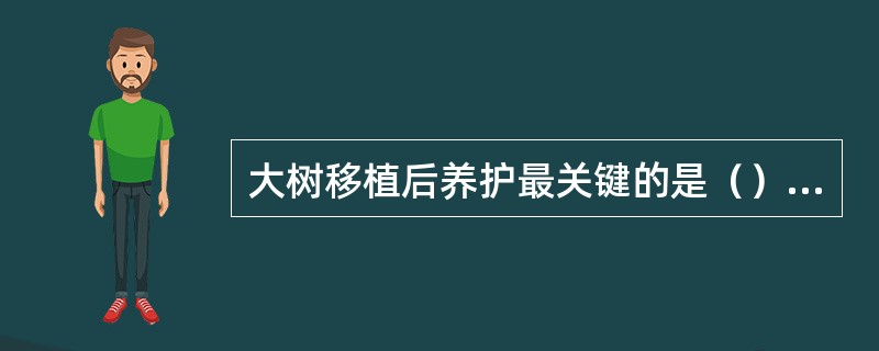 大树移植后养护最关键的是（）管理。