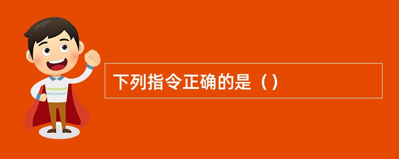 下列指令正确的是（）