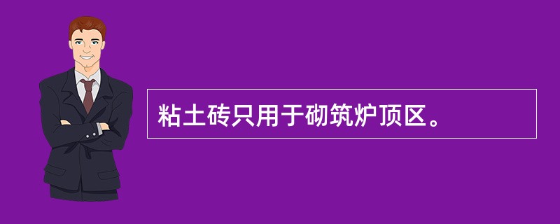 粘土砖只用于砌筑炉顶区。