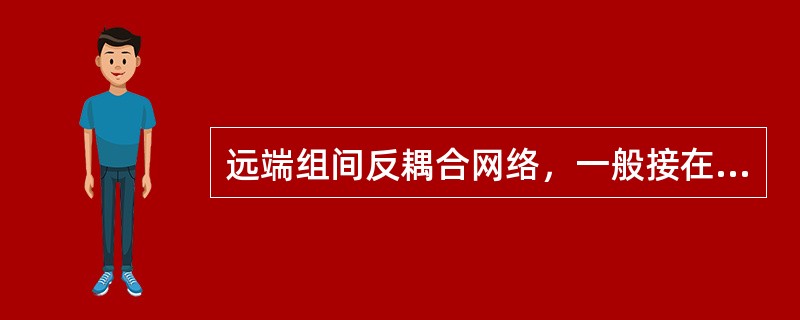 远端组间反耦合网络，一般接在远端平衡套管（）。