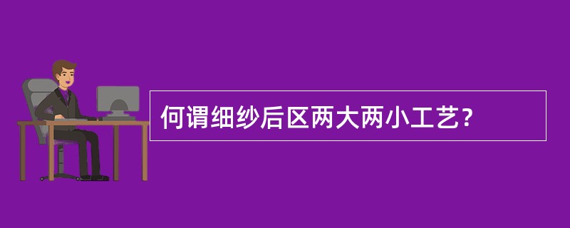 何谓细纱后区两大两小工艺？