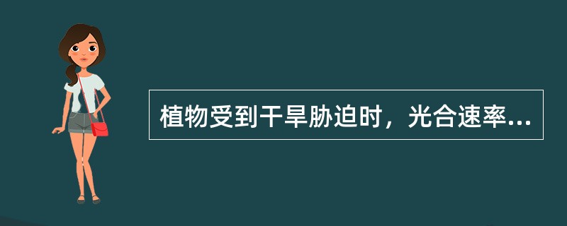 植物受到干旱胁迫时，光合速率会（）