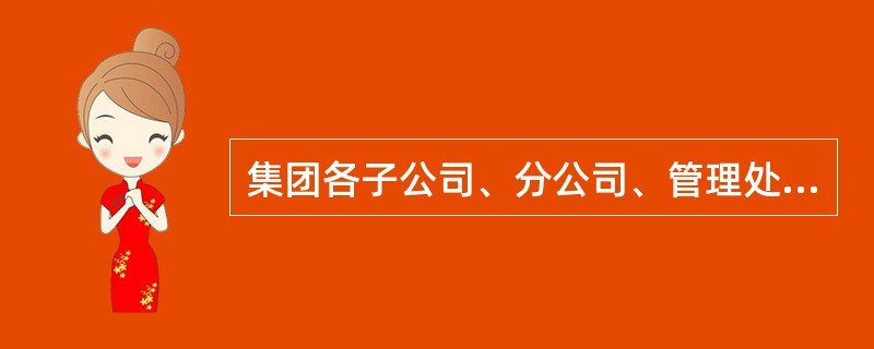 集团各子公司、分公司、管理处具体负责本部门业务涉及的预算的那些工作（）.