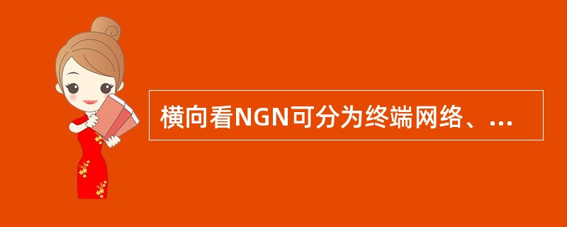 横向看NGN可分为终端网络、边缘接入和核心网络。