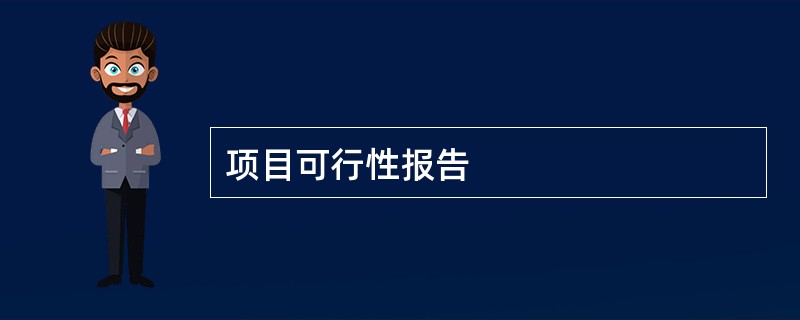 项目可行性报告