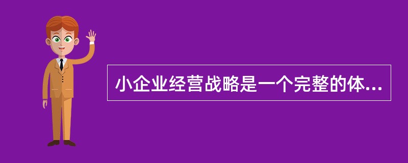 小企业经营战略是一个完整的体系，通常可以划分为（）两个层次。