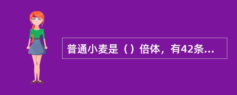 普通小麦是（）倍体，有42条染色体；玉米是（）倍体，有20条染色体。