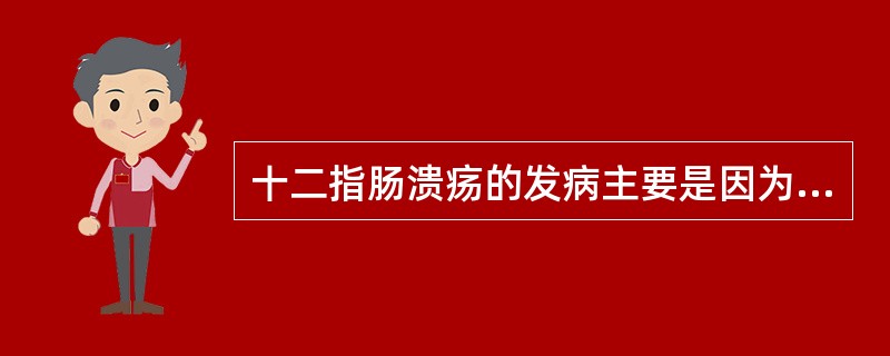 十二指肠溃疡的发病主要是因为（）.