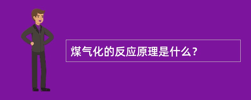 煤气化的反应原理是什么？