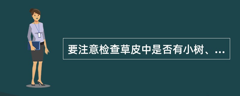 要注意检查草皮中是否有小树、荆棘、（）等。