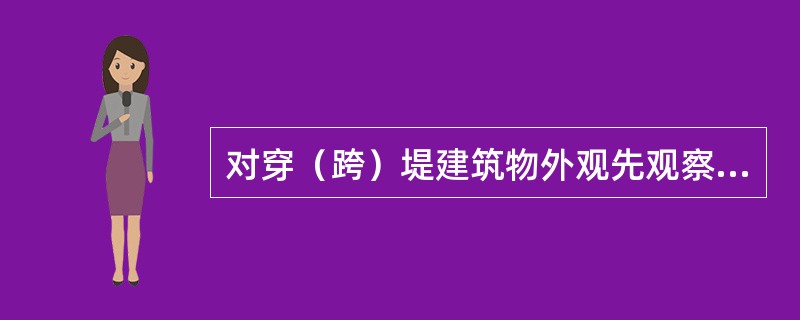 对穿（跨）堤建筑物外观先观察检查，发现破损或残缺处再逐一进行（）。