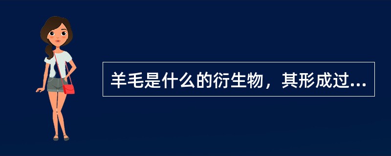 羊毛是什么的衍生物，其形成过程从何时开始？