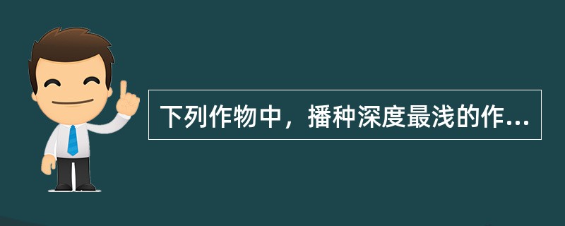 下列作物中，播种深度最浅的作物是（）。