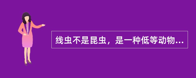 线虫不是昆虫，是一种低等动物，属于（）。