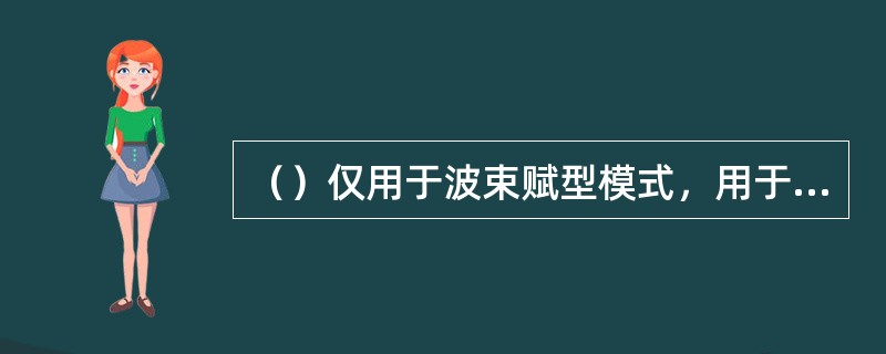 （）仅用于波束赋型模式，用于UE解调