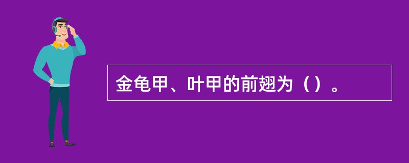 金龟甲、叶甲的前翅为（）。