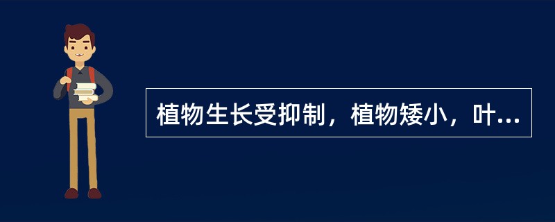 植物生长受抑制，植物矮小，叶片变成深绿色，灰暗无光泽，然后枯死脱落，此种现象是植