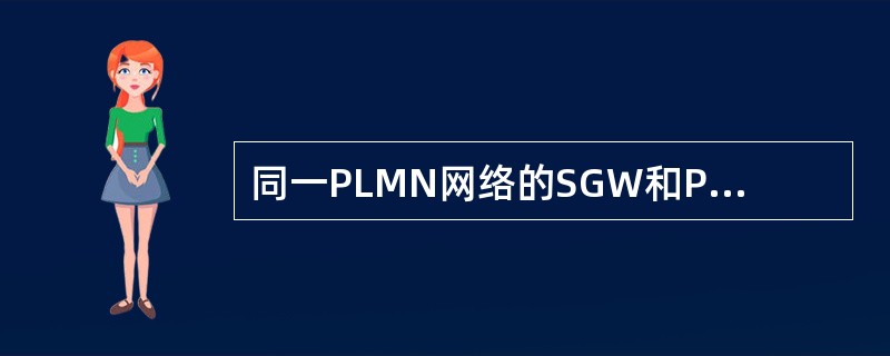 同一PLMN网络的SGW和PGW之间的接口名为（）