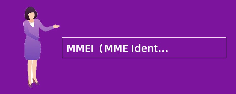 MMEI（MME Identity）由MMEGI和（）组成。