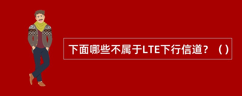 下面哪些不属于LTE下行信道？（）