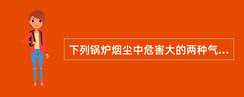 下列锅炉烟尘中危害大的两种气体是（）