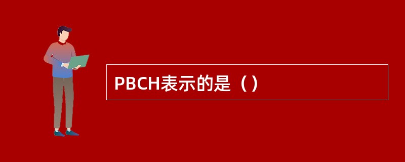 PBCH表示的是（）