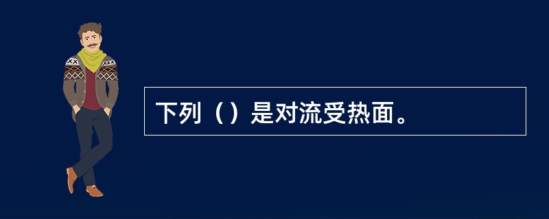 下列（）是对流受热面。