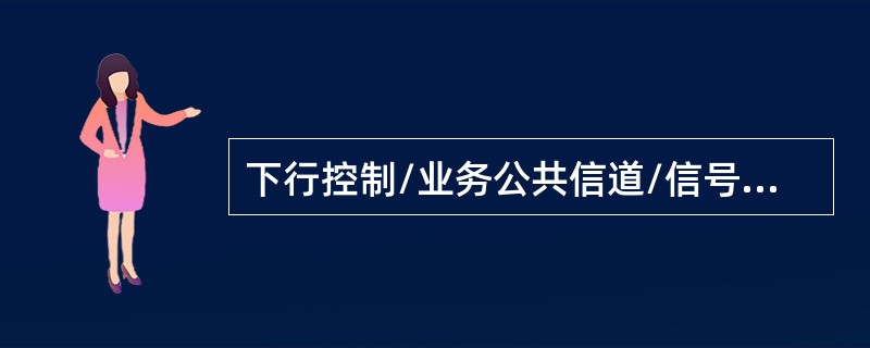 下行控制/业务公共信道/信号有（），（），（），（）。