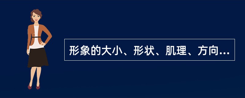 形象的大小、形状、肌理、方向和位置等在平面设计中都可以称为视觉元素。