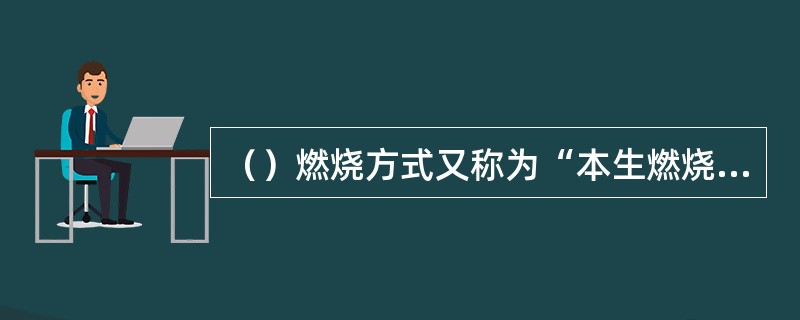 （）燃烧方式又称为“本生燃烧方式”。