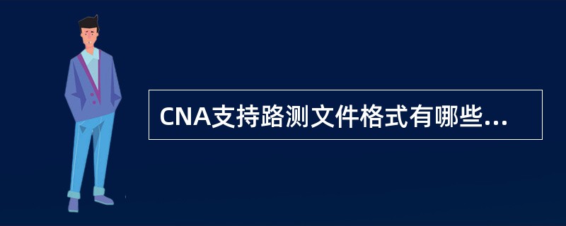 CNA支持路测文件格式有哪些？（）