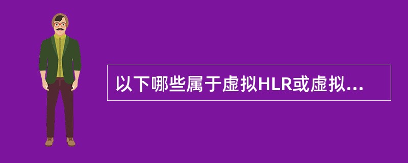 以下哪些属于虚拟HLR或虚拟HSS的功能（）