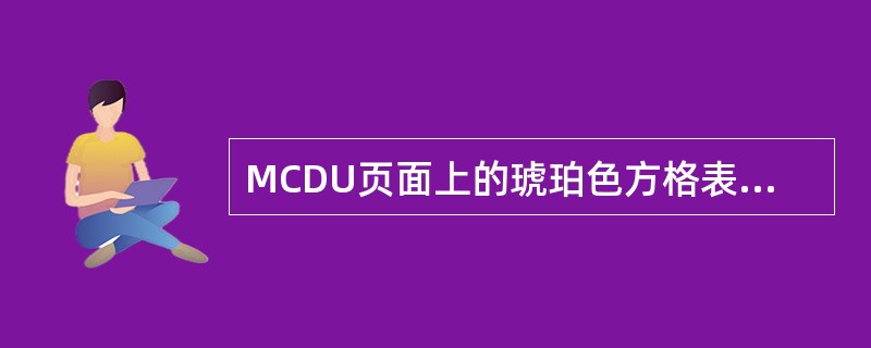 MCDU页面上的琥珀色方格表示什么意思？（）
