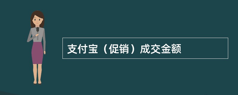 支付宝（促销）成交金额