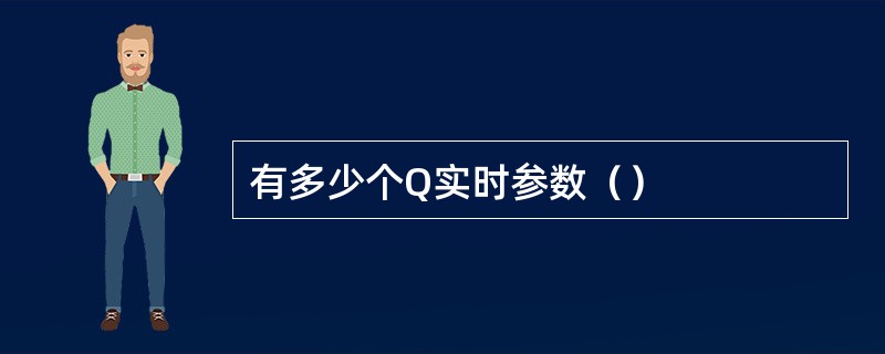 有多少个Q实时参数（）