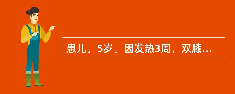 患儿，5岁。因发热3周，双膝关节痛2周入院。查体：体温38℃，脉搏101次/分，