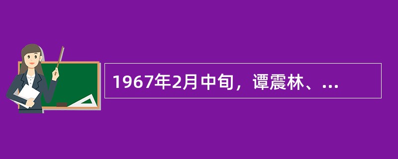 1967年2月中旬，谭震林、陈毅、叶剑英、李富春、李先念等对文化大革命的错误做法