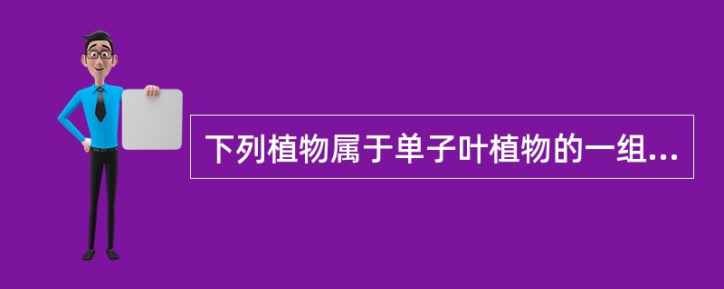 下列植物属于单子叶植物的一组是（）