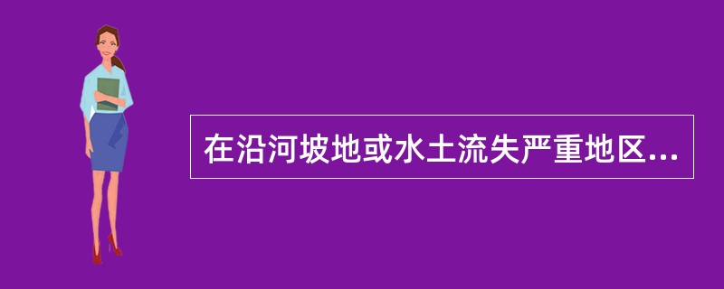 在沿河坡地或水土流失严重地区，大多采用（）整地。